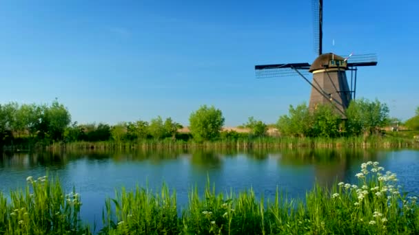 荷兰乡村风景风车 位于荷兰著名旅游胜地金德迪克 Kinderdijk — 图库视频影像