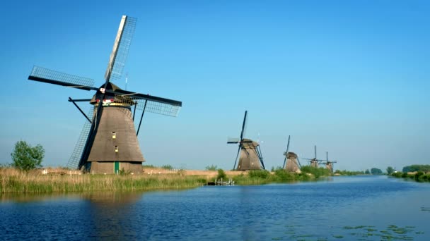Holandia Wsi Malownicze Widoki Wiatraki Słynnym Miejscu Turystycznym Kinderdijk Holandii — Wideo stockowe