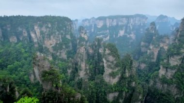 Çin - Zhangjiajie taş ünlü turistik uçurum Dağları sis bulutları Wulingyuan, Hunan, Çin, sütun. Kamera pan ile