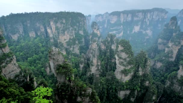 Знаменитая Туристическая Достопримечательность Китая Чжанцзяцзе Каменные Столбы Скалы Горы Туманных — стоковое видео
