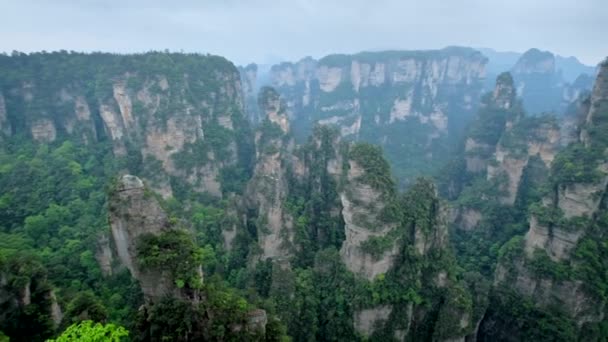 張り家界市石の有名な観光名所は 中国湖南省武陵源 霧の雲の崖山を柱します カメラのパン — ストック動画