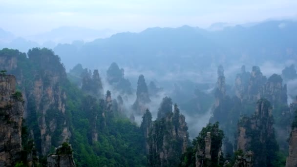 張り家界市石の有名な観光名所は 中国湖南省武陵源 霧の雲の崖山を柱します カメラのパン — ストック動画