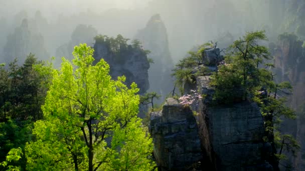 中国の有名な観光名所 チャンジャージー石柱 ワルチュアン フナン 中国の日没に山の木をクリア — ストック動画