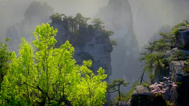 Знаменитая Туристическая Достопримечательность Китая Чжанцзяцзе Каменные Столбы Скалы Горы Закате — стоковое видео