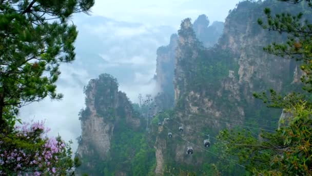 Famosa Atracción Turística China Zhangjiajie Pilares Piedra Acantilado Montañas Las — Vídeo de stock