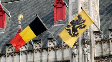 Vlaamse Leeuw (Flamanca: 