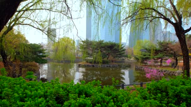 韩国首尔的丽水岛公园公共公园 — 图库视频影像