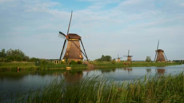 Hollanda Kırsal Kesiminin Manzarası Hollanda Nın Ünlü Kinderdijk Turistik Bölgesinde — Stok video