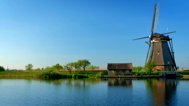 Landelijk Landelijk Dorpsgezicht Windmolens Beroemde Kinderdijk Nederland Kinderdijk Nederland Horizontale — Stockvideo