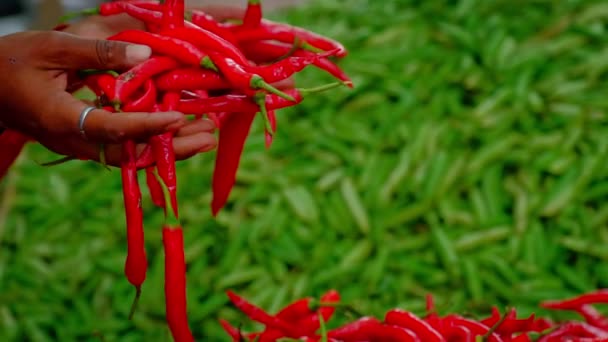 Indický Pouliční Prodejce Prodává Čerstvou Sklizeň Červených Chilli Papriček Zelených — Stock video