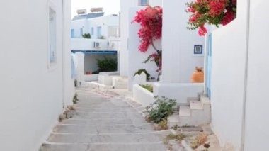 Yunanistan 'ın ünlü Paros Adası' ndaki Naousa kasabasının çiçek açan begonvil çiçekli geleneksel badanalı evleri ile pitoresk dar bir sokakta sabit kamerayla yürümek