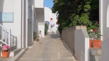 Yunanistan 'ın ünlü Paros Adası' ndaki Naousa kasabasının çiçek açan begonvil çiçekli geleneksel badanalı evleri ile pitoresk dar bir sokakta sabit kamerayla yürümek