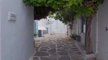 Yunanistan 'ın ünlü Paros Adası' ndaki Naousa kasabasının çiçek açan begonvil çiçekli geleneksel badanalı evleri ile pitoresk dar bir sokakta sabit kamerayla yürümek