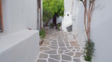 Yunanistan 'ın ünlü Paros Adası' ndaki Naousa kasabasının çiçek açan begonvil çiçekli geleneksel badanalı evleri ile pitoresk dar bir sokakta sabit kamerayla yürümek
