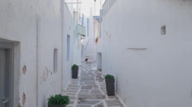 Yunanistan 'ın ünlü Paros Adası' ndaki Naousa kasabasının çiçek açan begonvil çiçekli geleneksel badanalı evleri ile pitoresk dar bir sokakta sabit kamerayla yürümek