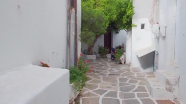 Yunanistan 'ın ünlü Paros Adası' ndaki Naousa kasabasının çiçek açan begonvil çiçekli geleneksel badanalı evleri ile pitoresk dar bir sokakta sabit kamerayla yürümek