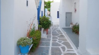 Yunanistan 'ın ünlü Paros Adası' ndaki Naousa kasabasının çiçek açan begonvil çiçekli geleneksel badanalı evleri ile pitoresk dar bir sokakta sabit kamerayla yürümek