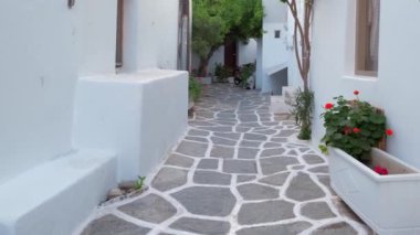 Yunanistan 'ın ünlü Paros Adası' ndaki Naousa kasabasının çiçek açan begonvil çiçekli geleneksel badanalı evleri ile pitoresk dar bir sokakta sabit kamerayla yürümek