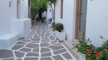 Yunanistan 'ın ünlü Paros Adası' ndaki Naousa kasabasının çiçek açan begonvil çiçekli geleneksel badanalı evleri ile pitoresk dar bir sokakta sabit kamerayla yürümek