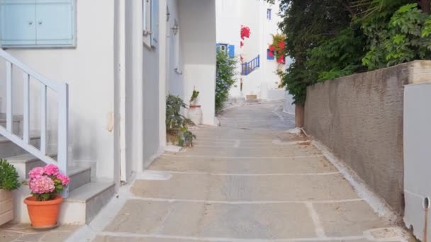 Promenade Avec Steadycam Dans Rue Étroite Pittoresque Avec Des Maisons — Video