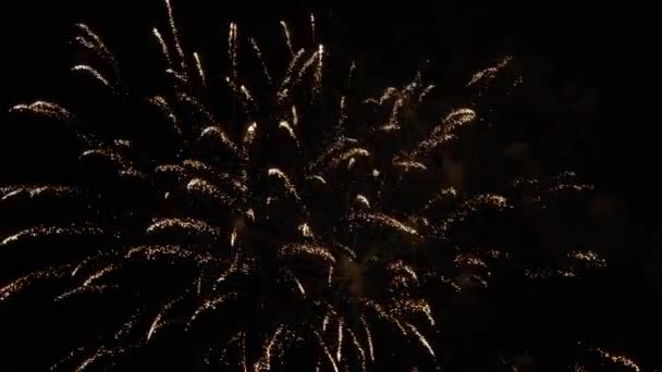 Real Fireworks Sky Background Abstract Shining Colorful Fireworks Night Sky — Stock Video