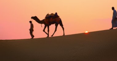 Gün batımında Thar Çölü 'nün kum tepelerinde bedeveleri olan Hint develeri. Rajasthan 'daki karavan turizm arka planında safari macerası. Jaisalmer, Rajasthan, Hindistan