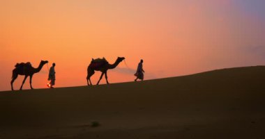 Gün batımında Thar Çölü 'nün kum tepelerindeki deve siluetleriyle Hintli kambur (deve sürücüsü). Rajasthan 'daki karavan turizm arka planında safari macerası. Jaisalmer, Rajasthan, Hindistan
