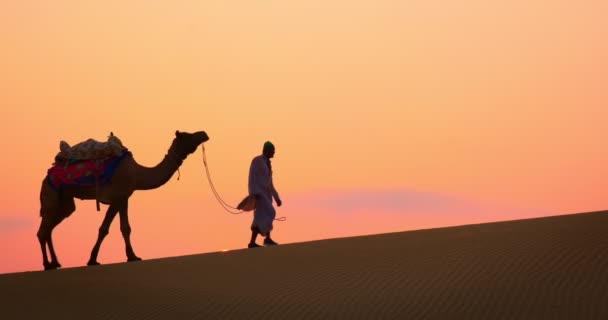 Indiase Kameleons Kameel Chauffeur Bedoeïen Met Kameel Silhouetten Zandduinen Van — Stockvideo