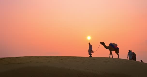 日没のタール砂漠の砂丘でラクダのシルエットを持つインドのカメラマン ラクダの運転手 ベドウィン ラジャスタン州のキャラバン旅行観光の背景サファリの冒険 インドのラジャスタン州ジャイサルマー — ストック動画