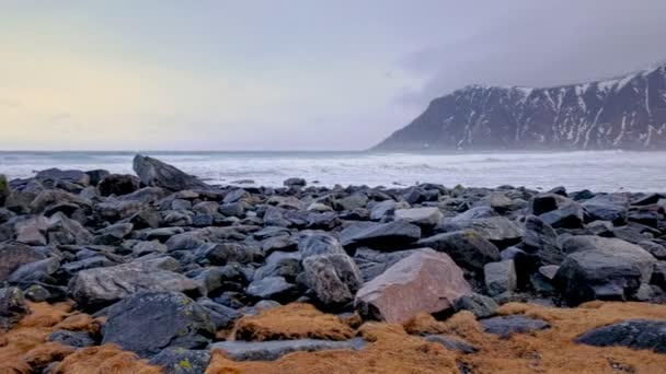 Βραχώδης Ακτή Του Φιόρδ Της Νορβηγικής Θάλασσας Χειμώνα Χιόνι Παραλία — Αρχείο Βίντεο