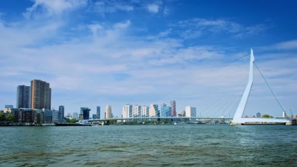 View Rotterdam Skyline Nieuwe Maas Erasmusbrug Bridge Skyscrapers Cargo Ships — Stock Video