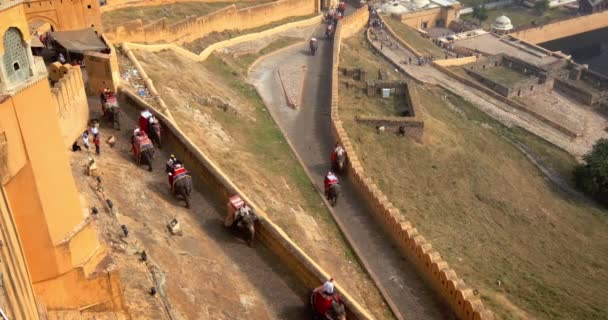 Turisti Che Cavalcano Elefanti Ascesa Forte Amer Ambra Rajasthan India — Video Stock