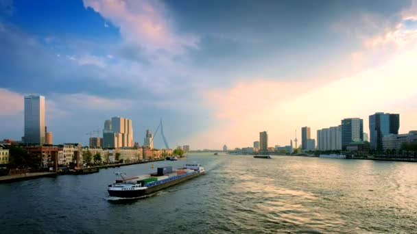 Rotterdam Netherlands May 2017 View Rotterdam Cityscape Erasmus Bridge Nieuwe — Stock Video