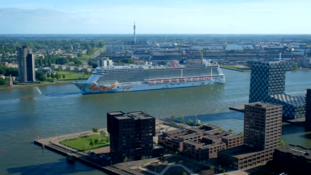 ユーロマストから Nieuwe Maas 川のクルーズ ライナーでロッテルダム オランダ 2017 ロッテルダム ビュー市 — ストック動画