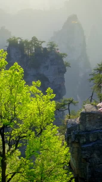中国の有名な観光名所 チャンジャージー石柱 ウルチュアン フナン 中国の日没の木で山をクリア カメラパン — ストック動画