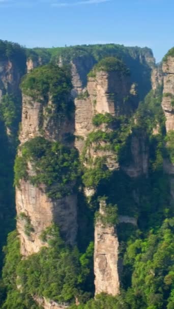 中国の有名な観光名所 ザンジャージー石柱ウルチュアン フナン 中国の崖の山 カメラ パンを使って — ストック動画