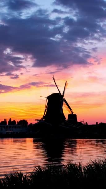日落时分 风车在荷兰著名的旅游胜地扎安斯 Zaandam — 图库视频影像
