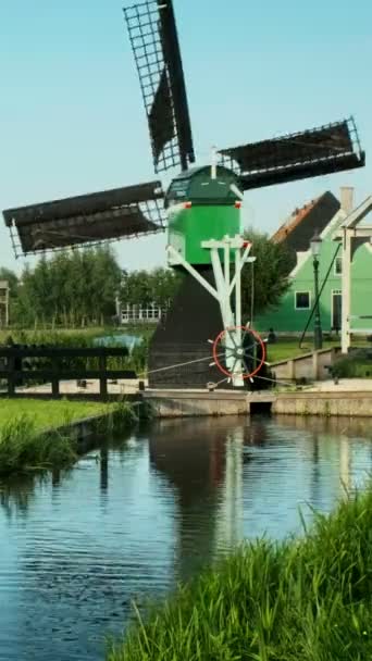 Holandia Wiejskie Krajobrazy Łabędziami Wiatrakach Słynnym Miejscu Turystycznym Zaanse Schans — Wideo stockowe