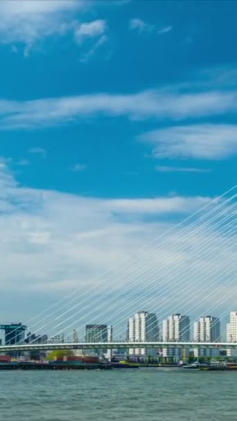 Timelapse Rotterdam Cityscape Erasmus Bridge Nieuwe Maas Rotterdam Nizozemsko Natahováním — Stock video