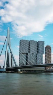 Rotterdam şehir manzarası ve Nieuwe Maas nehri üzerindeki Erasmusbrug köprüsü. Rotterdam, Hollanda