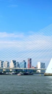 Rotterdam şehir manzarası ve Nieuwe Maas üzerindeki Erasmus köprüsü. Rotterdam, Hollanda. Kamera tavası
