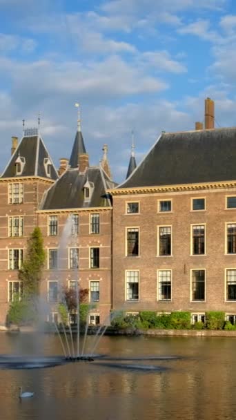 국회의사당과 빌딩을 배경으로 비엔호프 호수의 헤이그 네덜란드 카메라 — 비디오