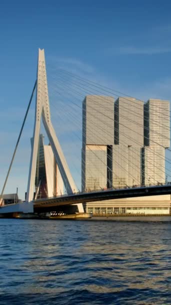 Peisajul Orașului Rotterdam Podul Erasmus Peste Nieuwe Maas Apus Soare — Videoclip de stoc