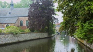 Brugge-Bruges kanalı, arka planda Meryem Ana Kilisesi ve köprünün altından geçen turist teknesiyle yaşlı ağaçların arasında suyla beyaz kuğular üzerinde. Brugge, Belçika