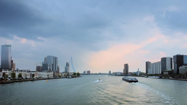 Vedere Din Peisajul Orașului Rotterdam Podul Erasmus Peste Nieuwe Maas — Videoclip de stoc
