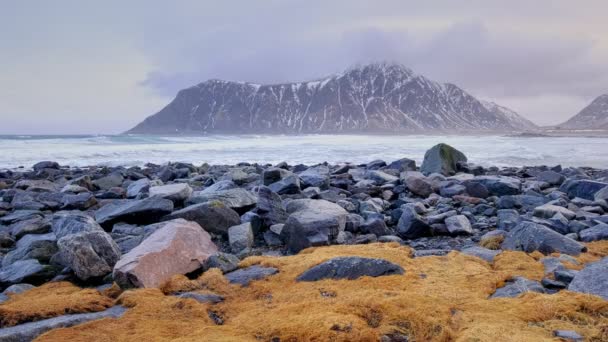 Côte Rocheuse Fjord Mer Norvégienne Hiver Avec Neige Plage Skagsanden — Video