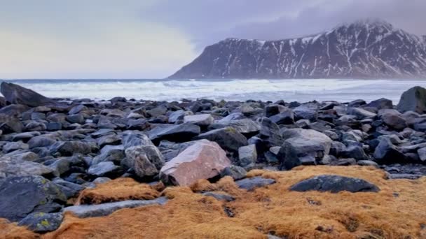 Rotsachtige Kust Van Fjord Van Noorse Zee Winter Met Sneeuw — Stockvideo