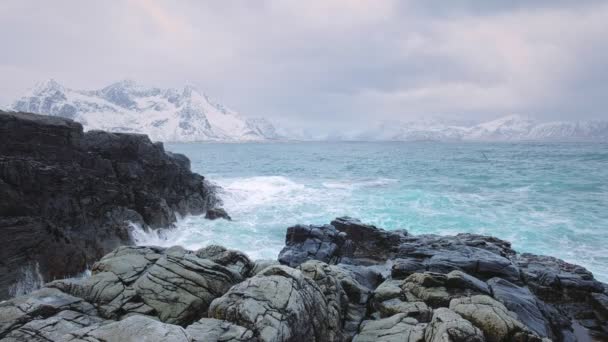 Κύματα Νορβηγικής Θαλάσσιας Σύνθλιψης Βραχώδεις Ακτές Στο Φιόρδ Vikten Lofoten — Αρχείο Βίντεο