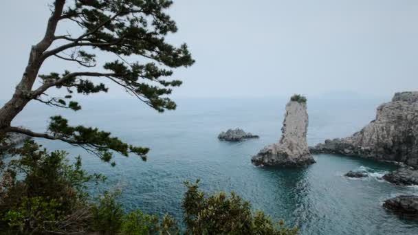Oedolgae Rock Touristenattraktion Jeju Island Südkorea — Stockvideo