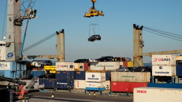 ポルトガル リスボン 2022年8月26日 商用貨物コンテナ船を積載するポートクレーンは 産業用海港の車でマデイラ島に向かう リスボン ポルトガル — ストック動画